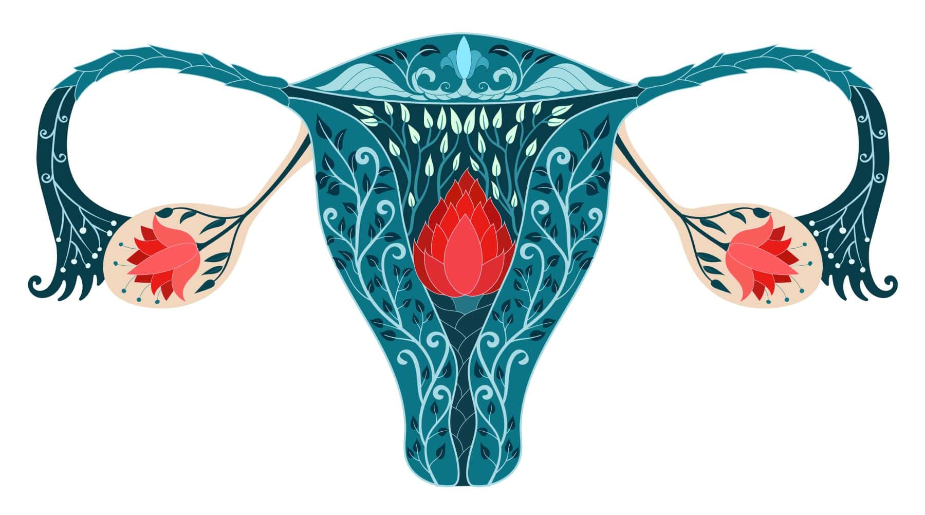 Pelvic Floor Health